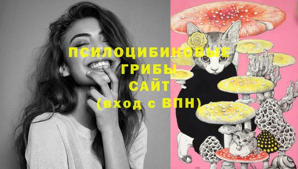 ALPHA PVP Новодвинск