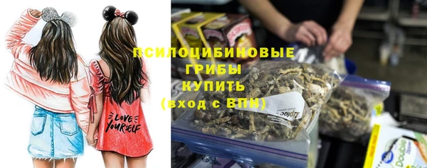 ALPHA PVP Новодвинск