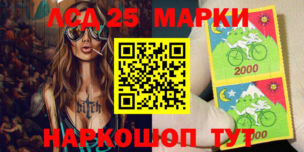 Альфа ПВП Сочи