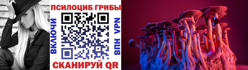 Псилоцибиновые грибы MAGIC MUSHROOMS  Сочи 
