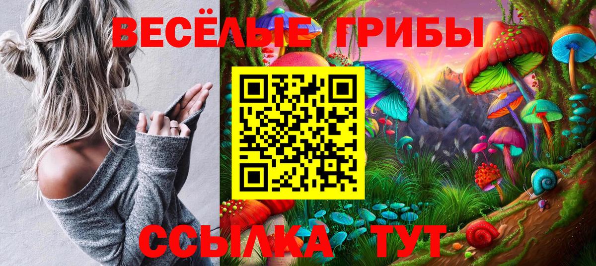 Сочи  Галлюциногенные грибы прущие грибы  купить наркоту  Вход с VPN 